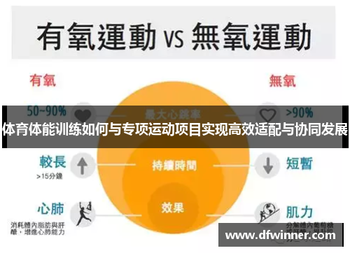体育体能训练如何与专项运动项目实现高效适配与协同发展